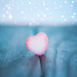 Meet your Posher, Mz